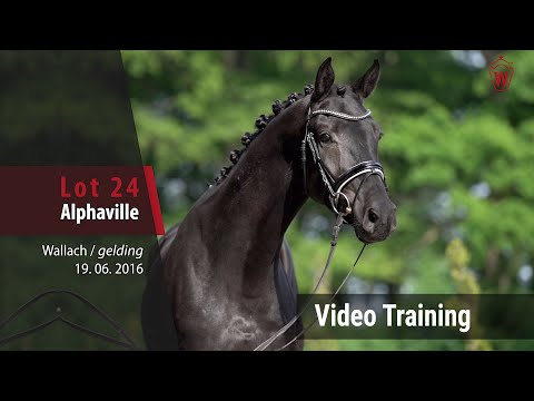 24 Alphaville v. Arango - Fürst Nymphenburg_Trainingsvideo