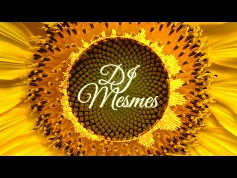 Kel Smith x DJ Mesmes - Girassol [Zoukable Bootleg Remix] #88bpm