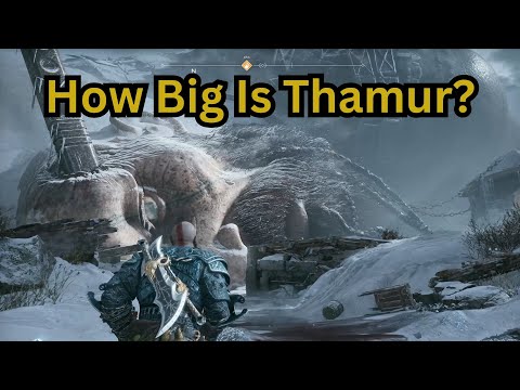 How Big Is Thamur?