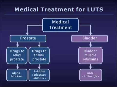 Prostate adenoma mri