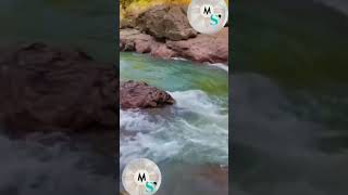 Download lagu Ayat tentang hujan yang deras✓ Q.s Al-an'am ayat 6 #murottalquran #tilawahquran #tadaburalam mp3 Download lagu Ayat tentang hujan yang deras✓ Q.s Al-an'am ayat 6 #murottalquran #tilawahquran #tadaburalam mp3