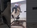 Most Extreme Event In The Rodeo Broncmarriott