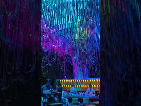 The Best Rooftop Bars To Visit When You're In Bangkok Thailand!!