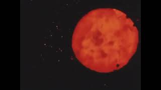 Ivan The Tolerable And His Elastic Band – “Night Hospital”