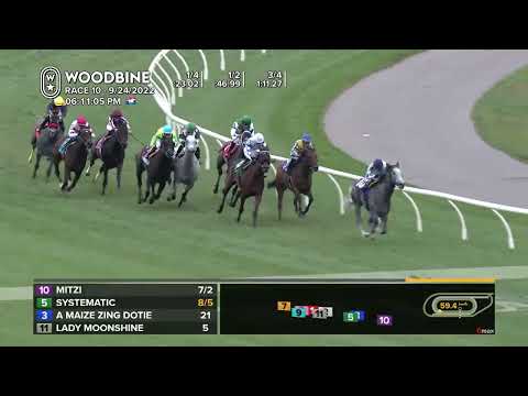 Woodbine, Tbred, September 24, 2022 Race 10
