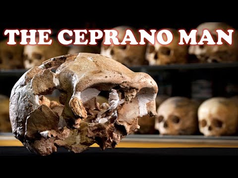 The Ceprano Man | Explained