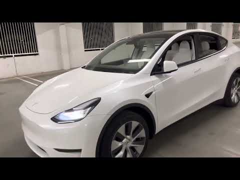 Reza Shariati’s Rashid Khan on Tesla Model Y