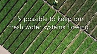 What happens when we use too much water?