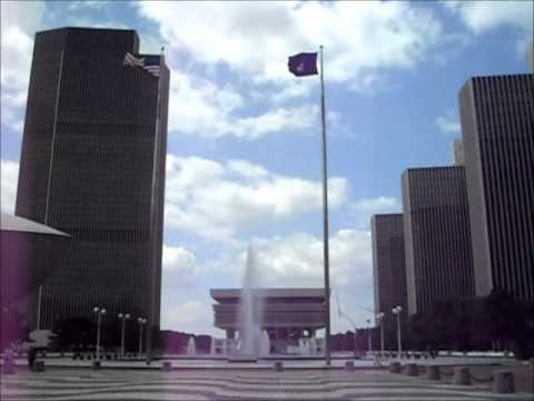 Rockefeller's Ant-Farm