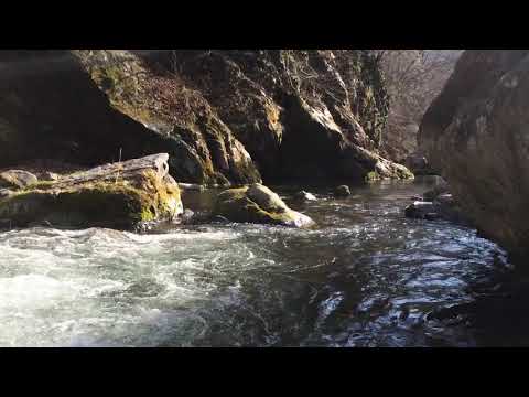【檜原村】吉祥寺滝
