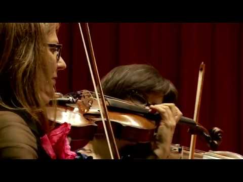 A. Glazunov - Theme and variations for string orchestra in G minor, op. 97 (1895)