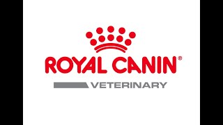 Die tierärztlichen Katzen- und Hundenahrungen von ROYAL CANIN