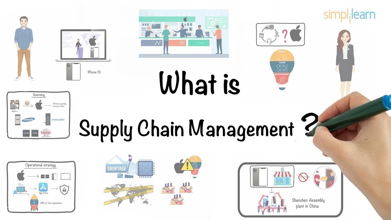 What does a logistics and supply chain manager do?