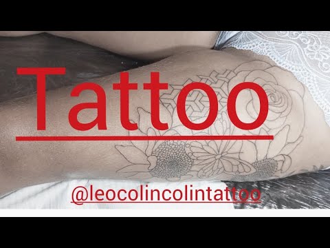 tattoo contorno linhas finas