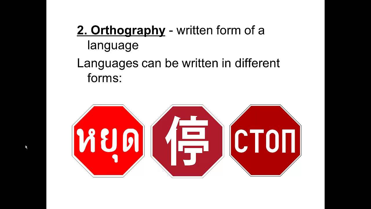 Lexicology Introduction