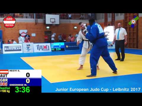 +100 kg: Semi-Final (38) HEGYI, Stephan (AUT) vs GREENIDGE, Wesley (GBR)