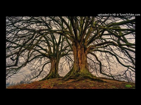 Dj Shimza ft Marissa Guzman - WUS (Cuebur Spirit Mix)