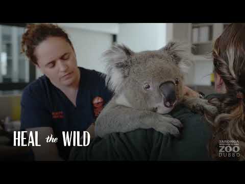 Taronga Western Plains Zoo, Dubbo