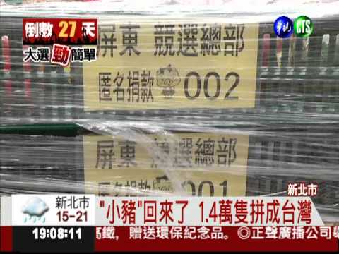 "小豬"回娘家! "拼"台灣變藝術