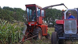 14 Classic Forage Harvesters | Old-Timer Hakseldag Dalen 2018 | + Tillage bonus!