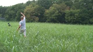 20080830193245.mpg
