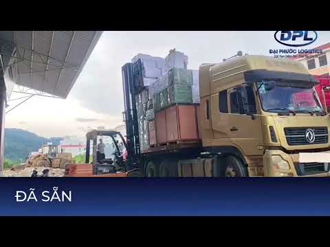  ĐẠI PHƯỚC LOGISTICS - THÔNG BÁO THAY ĐỔI LOGO THƯƠNG HIỆU