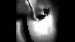 Silent Signals - Poppy Grow (In Flanders Fields)  / Sounds Of Desperation Part1