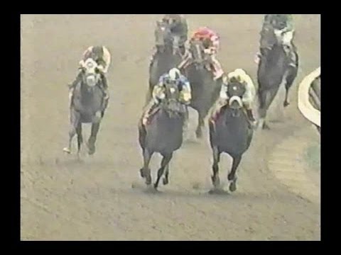 1998 Ballerina Handicap - Stop Traffic