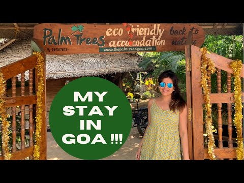 My stay in Goa| Palm Trees Eco Friendly Resort Patnem Beach|Ranjini Haridas Vlogs