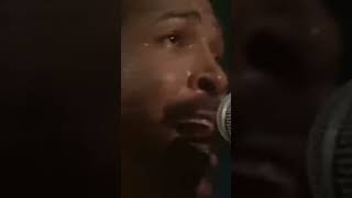 Marvin Gaye - What's Going On (Greatest Hits - Live In Amsterdam)
