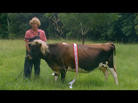 Play video on YouTube