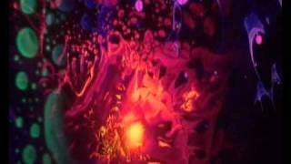 The Sonic Assassins Over The Top Magnu &amp; Angels of Death (Live)