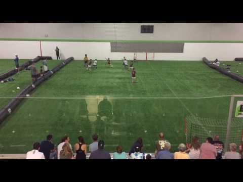 Alpha Forms "10 1.1 HD