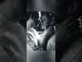 Masaba Gupta Wedding ️ Masabaguptawedding Masabaguptamarriage Masabaguptamarriagephotos