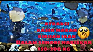 Download lagu Atraksi Pemberian Makan Ikan di Kolam Utama Sea World Jakarta mp3