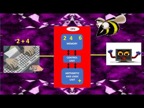 YouTube video about: Which of the following functions of a computer is mostly?