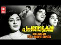 Pachanottukal Malayalam Full Movie Songs Sreekumaran Thampi M K Arjunan Prem Nazeer Vijayasree