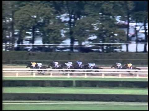 Cigar - 1995 Breeders' Cup Classic