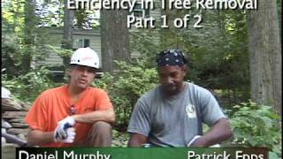 preview picture of video 'Efficiency in Tree Removal Devon PA 19333.mov'