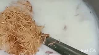 দারুন এক মজাদার সেমাই রান্না