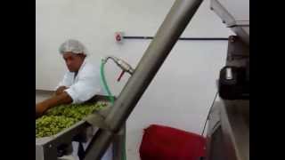 preview picture of video 'Processamento de Azeite Extra-virgem da variedade Arbosana na FEMF/EPAMIG.'