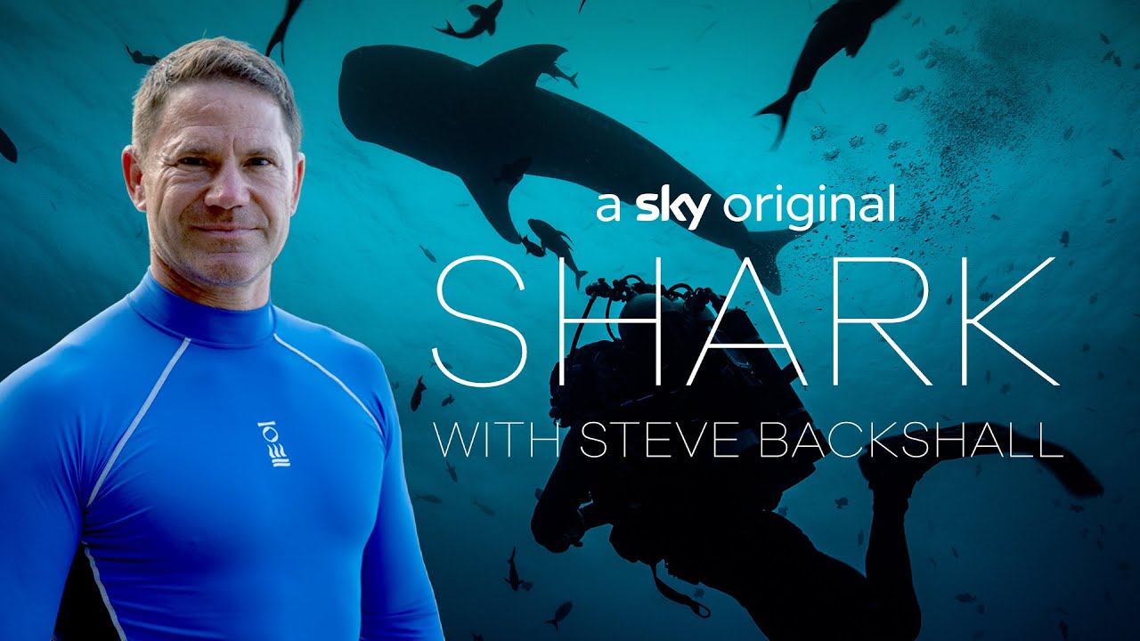 Shark with Steve Backshall | First Look Trailer | Sky Nature facade placeholder