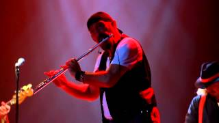 Ian Anderson - From a pebble thrown/pebbles instrumental - live in Trieste - Thick as a Brick 2