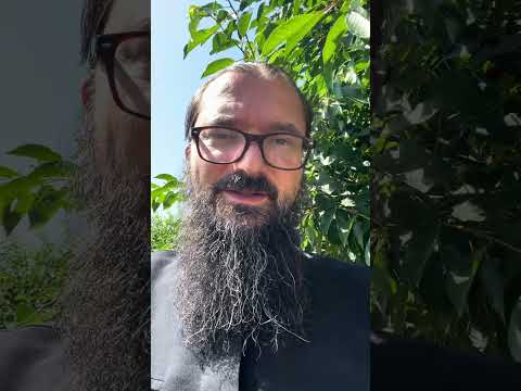 O pildă despre dragoste și răbdare: creștinul Evloghie și ologul neputincios.