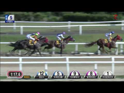 Yeongsan II - Seoul Racecourse - June 14, 2014