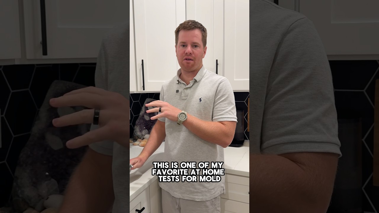 DIY Mold Testing At Home