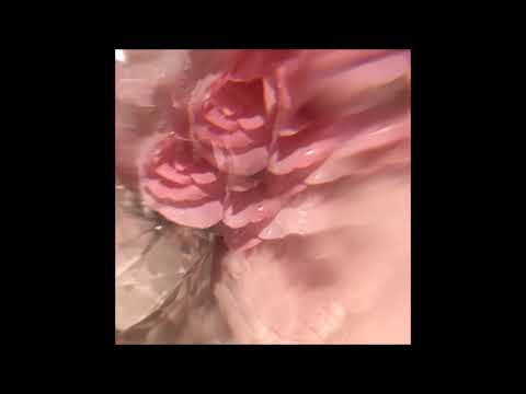 04. whitachre - NORTHERN WINDS