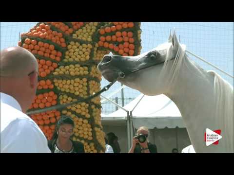 Menton 2016 - Class 10