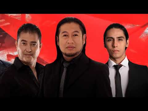 IRREVERSIBLE - PAGARAS