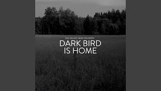 Dark Bird Is Home